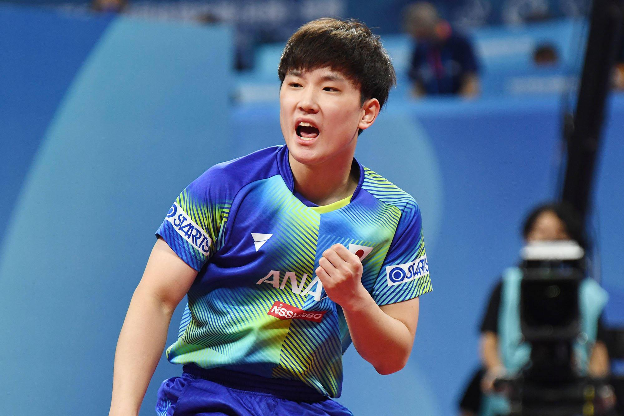 出色地平衡 出色地平衡