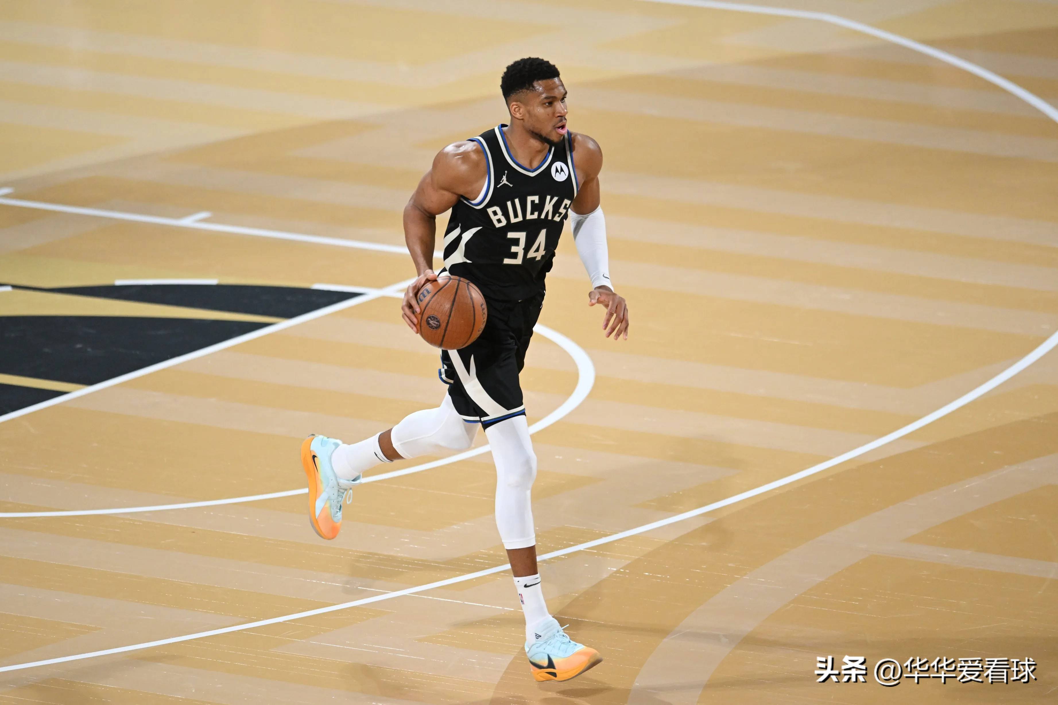 熊的冲击 熊的冲击