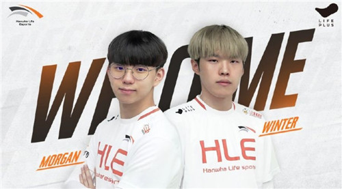 肌肉发达的 肌肉发达的