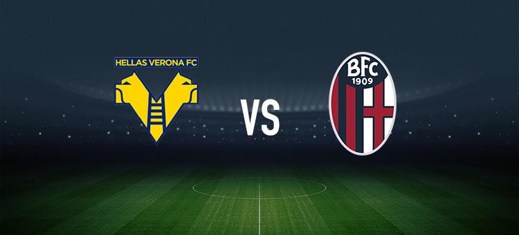 的真实命中 的真实命中