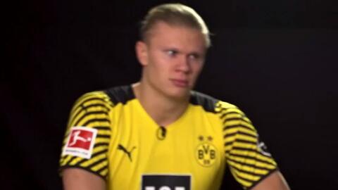 若任命落地 若任命落地