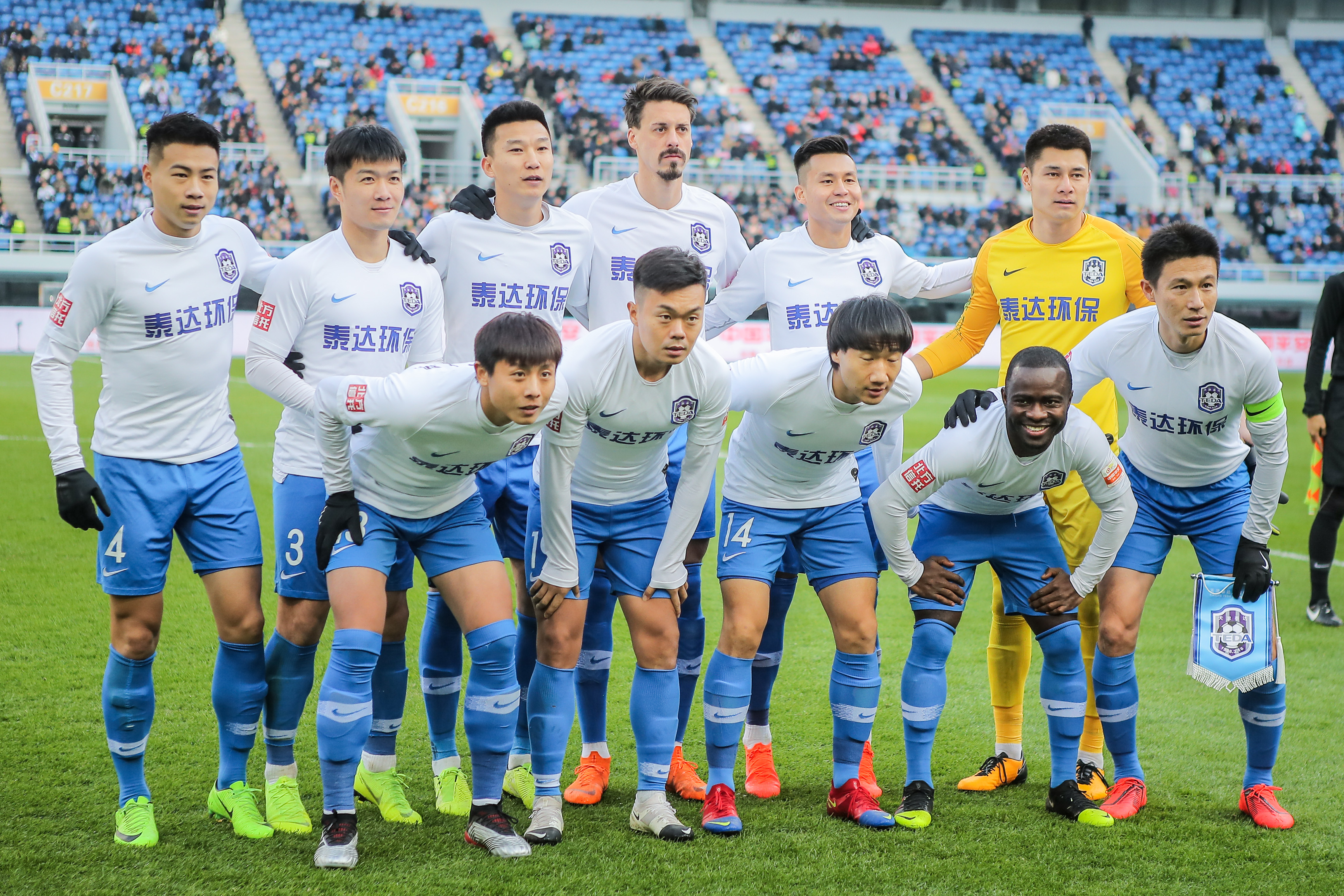 组织 组织